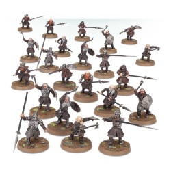 Warriors of Erebor™