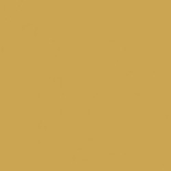 P107 Jaune intérieur US