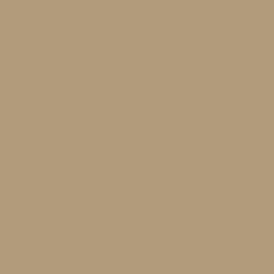 P122 Desert Tan 686