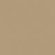 P122 Desert Tan 686