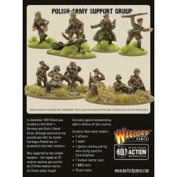 Bolt Action - Polish Army Support Group (HQ, Mortar & MMG)