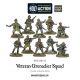 Bolt Action - Veteran Grenadiers Squad