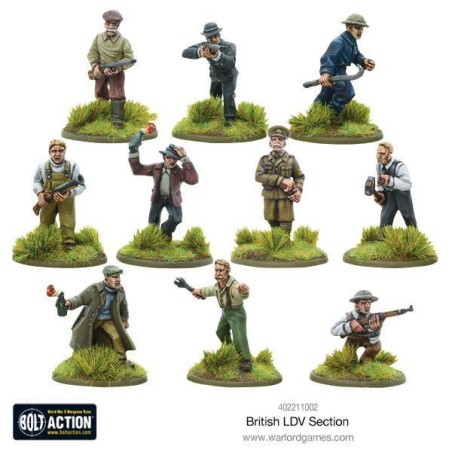 Bolt Action - British LDV section