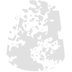 Technical : Valhallan blizzard