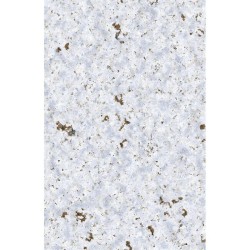 Tapis de Jeu SImple: Tundra (Néoprène)