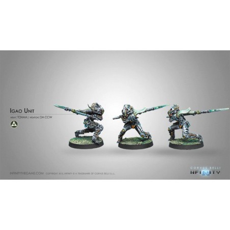 Infinity: Igao Unit (DA, CCW)