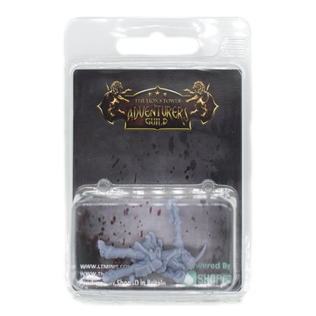 TLT: Human Male Rogue Xbow