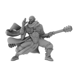 TLT: Halforc Monk Daibo (2)