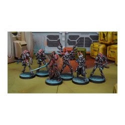 Infinity: Combiend Army Starter Pack