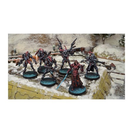 Combined Army: Starter Pack