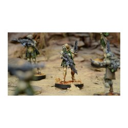 Infinity: Hassassin Govads (HMG)