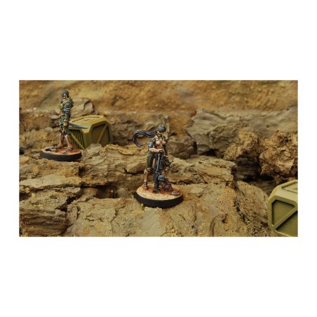 Haqqislam: Hassassin Fidays (Boarding Shotgun)