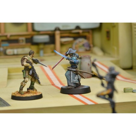 Mercenaire: Miyamoto Moushahshi Aristeia! Outfit