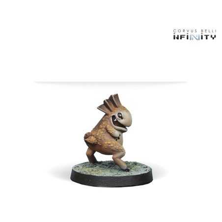 Tohaa: Kaeltar Specialists