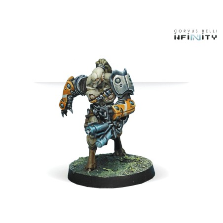 Tohaa: Rasail Boarding Team