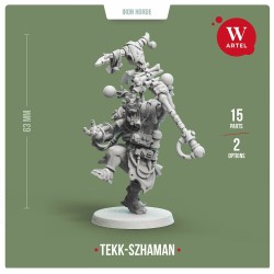 AWM: Tekk-Szhaman of Iron Horde
