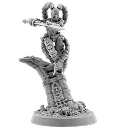 WE: Imperial Polymorph Assassin