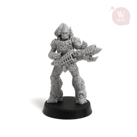 AWM: Revenants Squad