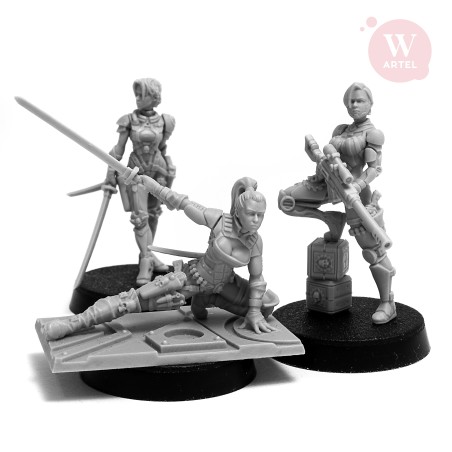 AWM: Assassination Team