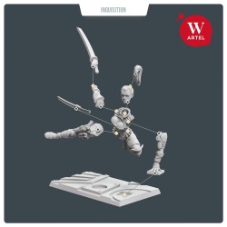 AWM: Assassination Team