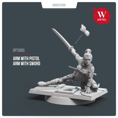 AWM: Assassination Team