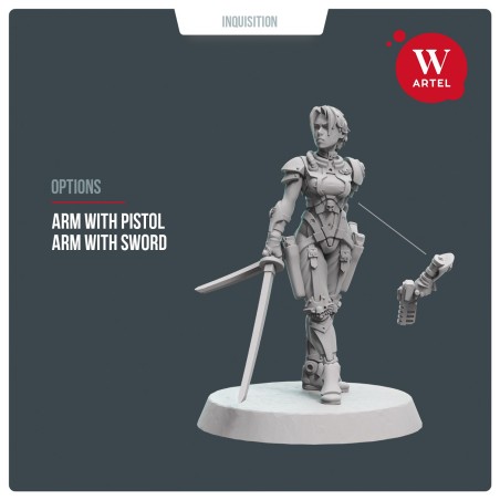 AWM: Assassination Team