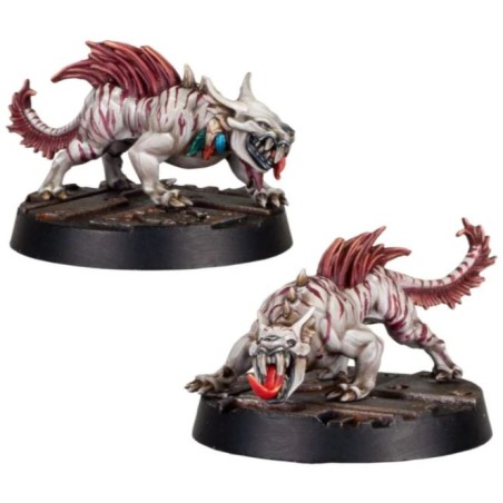 Forge World: Escher Phyrr Cats