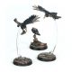 Forge World: Cawdor Sheen Birds