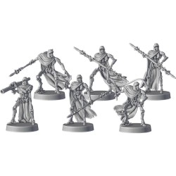 SW Légion: Magna Gardes IG-100