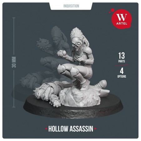 AWM: Hollow Assassin
