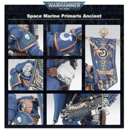 Space Marines: Doyen Primaris