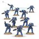 Space Marines: Primaris Reivers