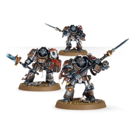Grey Knights: Terminators / Paladins
