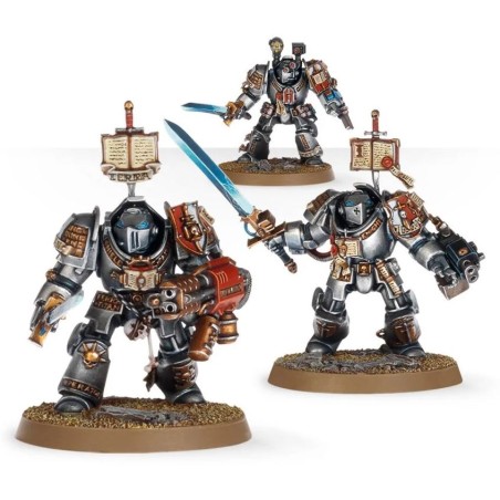 Grey Knights: Terminators / Paladins