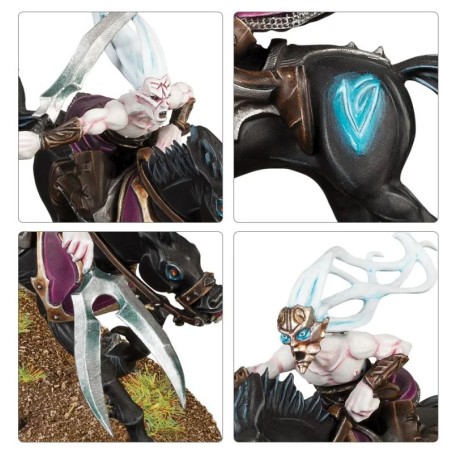 Cities of Sigmar / Daughters of Khaine: Doomfire Warlocks / Dark Riders