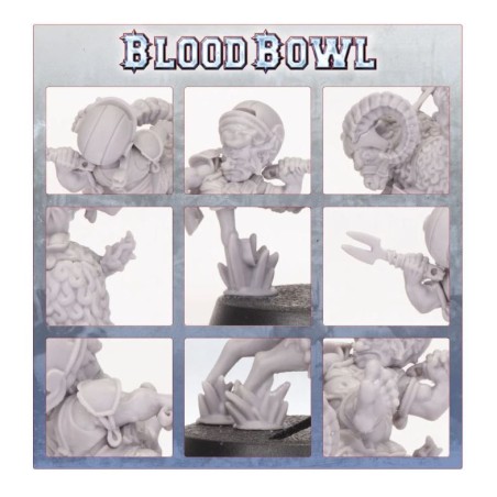 Bloodbowl Fw: Rumbelow Sheepskin