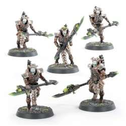 Nécrons: Lychguard / Triarch Praetorians