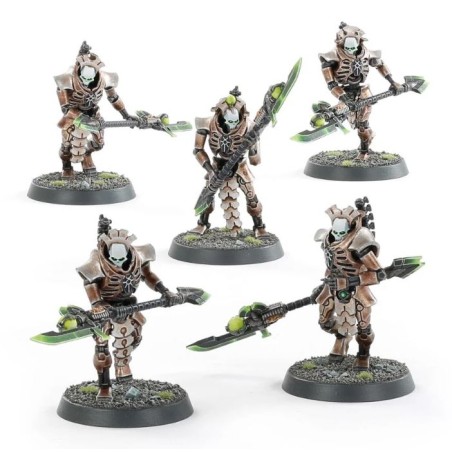 Nécrons: Lychguard / Triarch Praetorians