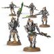 Nécrons: Lychguard / Triarch Praetorians