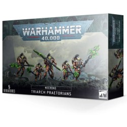 Nécrons: Lychguard / Triarch Praetorians