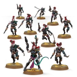 Drukhari: Wyches