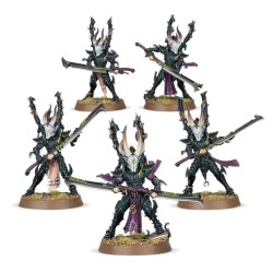 Drukhari: Incubi