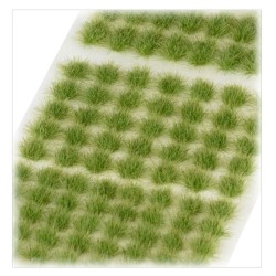 Flocage: touffes d'herbes verdia veldt