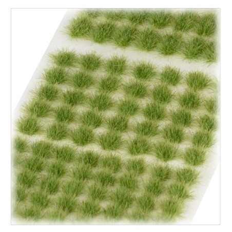 Flocage: touffes d'herbes verdia veldt