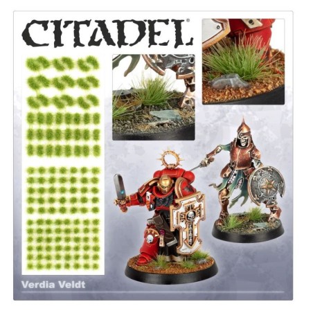 Flocage: touffes d'herbes verdia veldt