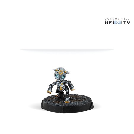 Yu jing: Tiangou orbital activity squad