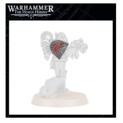 Space Wolf Fw: MkVI Shoulder Pads