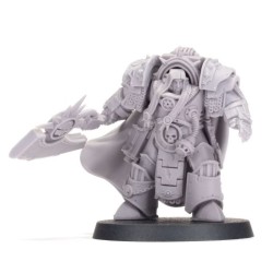 Death  Guard Fw: Legion Cataphractii Praetor