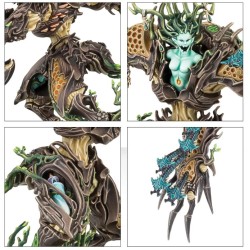 Sylvaneth: Drycha Hamadreth