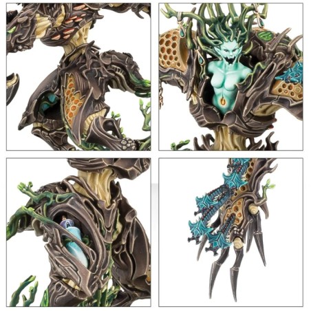 Sylvaneth: Drycha Hamadreth